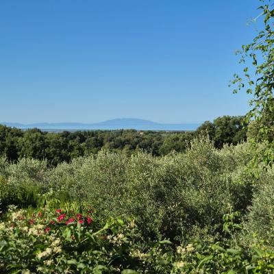 Toscana 2500004